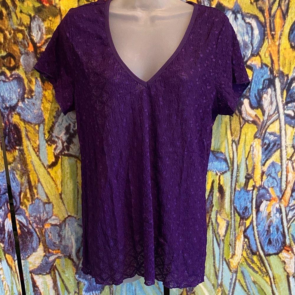 🪻Moda International, Purple, Short Sleeve, Stretch Lace Top in XL